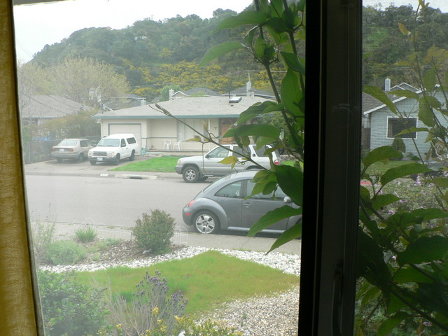 view out the Barn window.  bonsoir, Noemie!