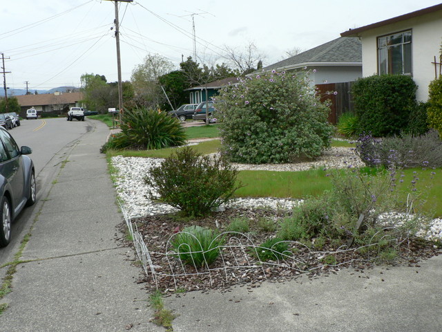 facing the house, but looking left aka west