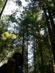 Muir Woods