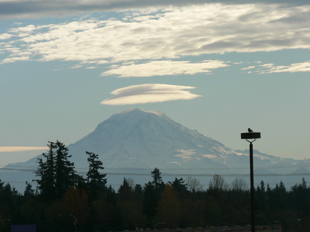 Mt. Rainier