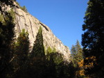 Highlight for Album: Yosemite Wedding by Joel and Cathi